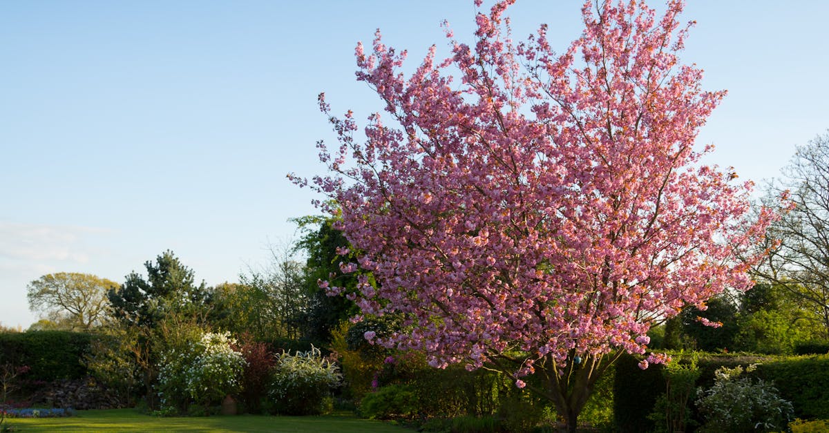 Transitioning Between Different Garden Zones