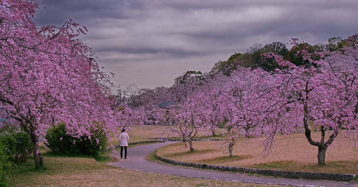 Utilizing Pathways for Smooth Transitions in Landscaping